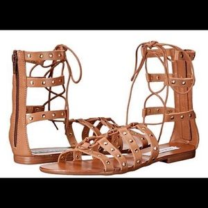 Steve Madden Sye Brown Leather Studded Sandals
